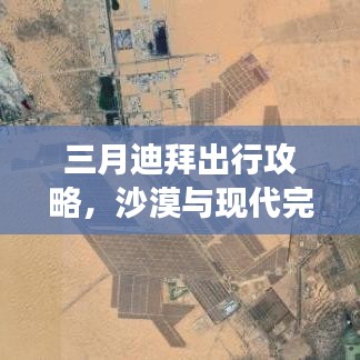 三月迪拜出行攻略，沙漠与现代完美交融之旅