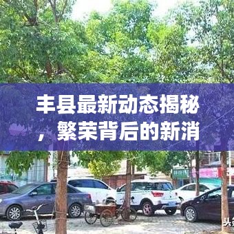 丰县最新动态揭秘，繁荣背后的新消息速递