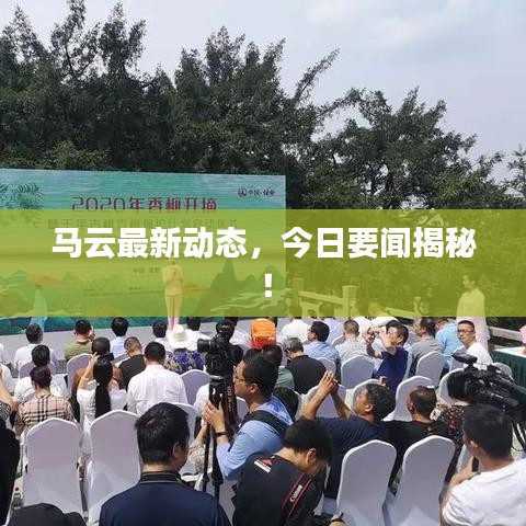 马云最新动态，今日要闻揭秘！