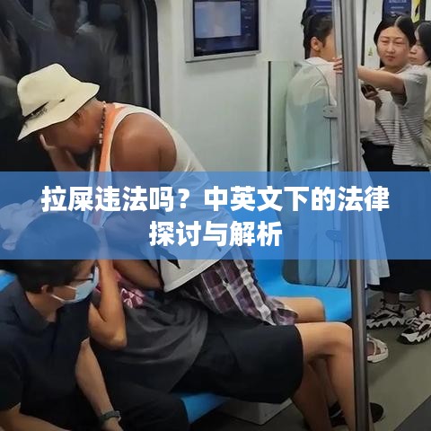 拉屎违法吗？中英文下的法律探讨与解析