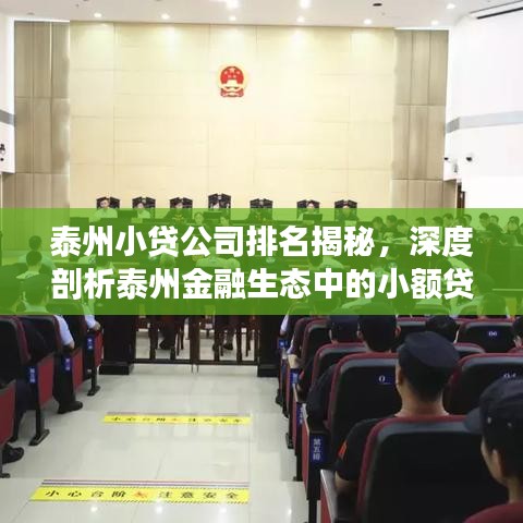 泰州小贷公司排名揭秘，深度剖析泰州金融生态中的小额贷款行业