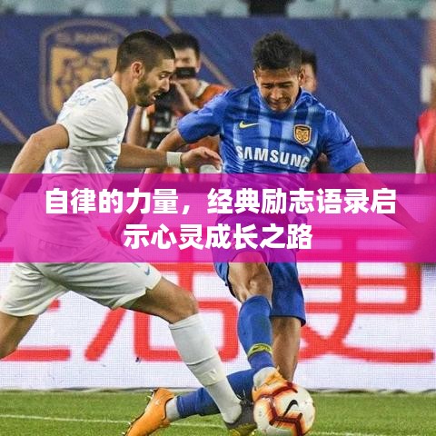 自律的力量，经典励志语录启示心灵成长之路