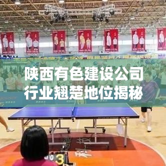 陕西有色建设公司行业翘楚地位揭秘，实力排名与深度解析