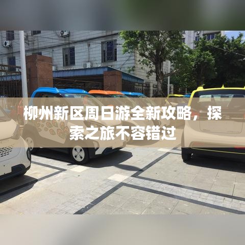 柳州新区周日游全新攻略，探索之旅不容错过