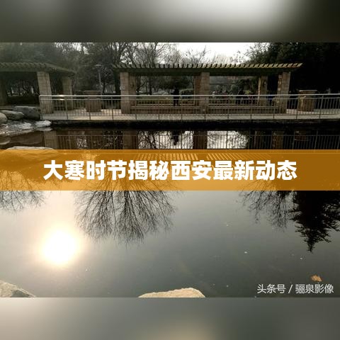 大寒时节揭秘西安最新动态
