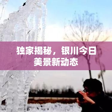 独家揭秘，银川今日美景新动态