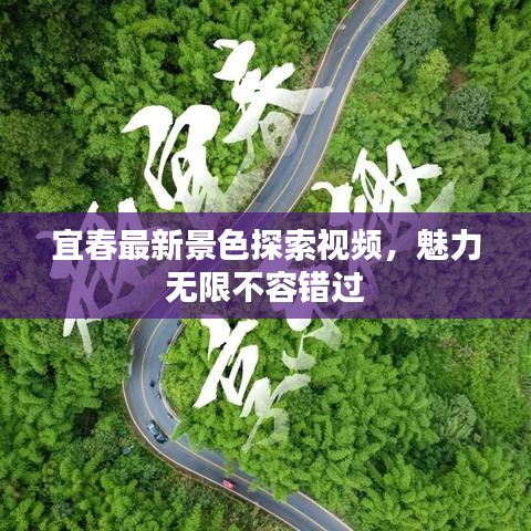 宜春最新景色探索视频，魅力无限不容错过