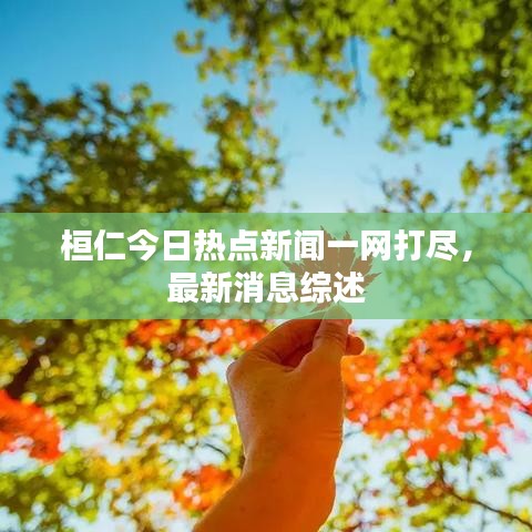 桓仁今日热点新闻一网打尽，最新消息综述