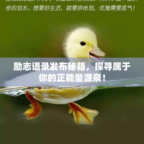 励志语录发布秘籍，探寻属于你的正能量源泉！
