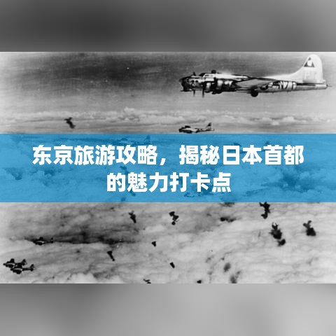 东京旅游攻略，揭秘日本首都的魅力打卡点