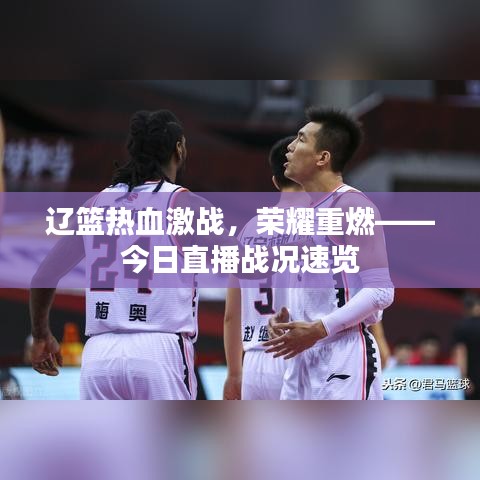 辽篮热血激战，荣耀重燃——今日直播战况速览
