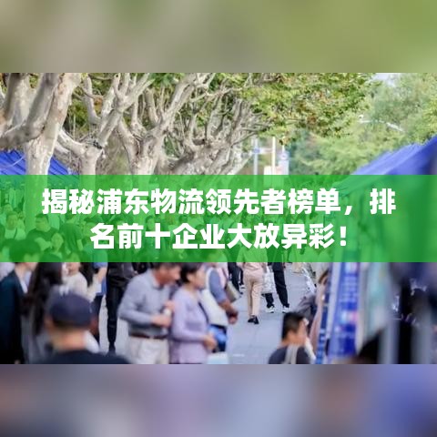 揭秘浦东物流领先者榜单，排名前十企业大放异彩！