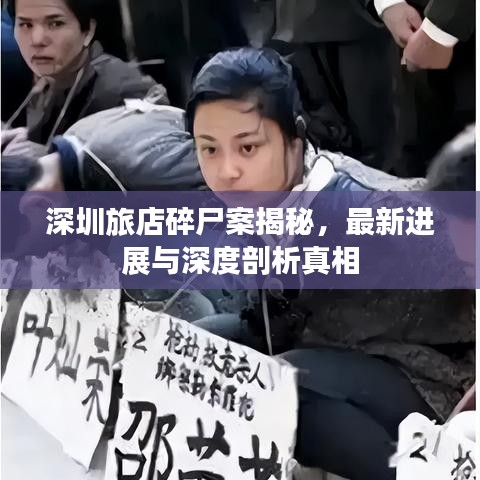 深圳旅店碎尸案揭秘，最新进展与深度剖析真相