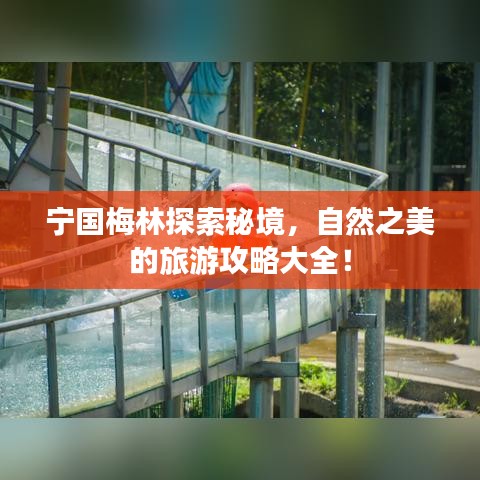 宁国梅林探索秘境，自然之美的旅游攻略大全！