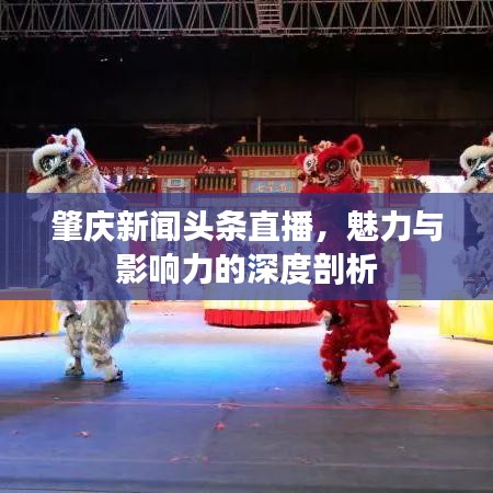 肇庆新闻头条直播，魅力与影响力的深度剖析
