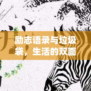 励志语录与垃圾袋，生活的双面魅力解读