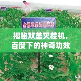 揭秘双垄灭茬机，百度下的神奇功效与应用探索