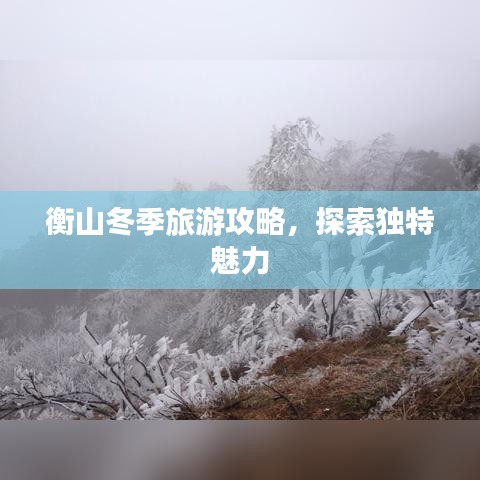 衡山冬季旅游攻略，探索独特魅力
