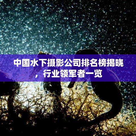 中国水下摄影公司排名榜揭晓，行业领军者一览