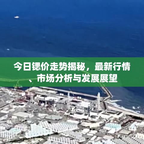 今日锶价走势揭秘，最新行情、市场分析与发展展望
