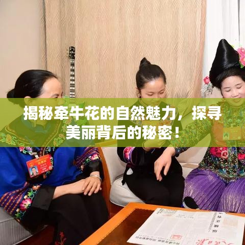 揭秘牵牛花的自然魅力，探寻美丽背后的秘密！