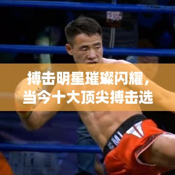 搏击明星璀璨闪耀，当今十大顶尖搏击选手排名榜