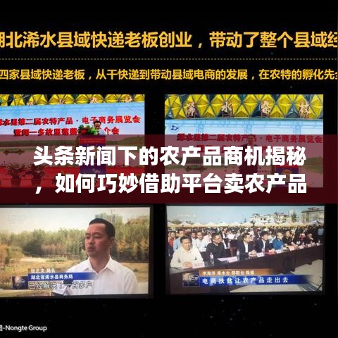头条新闻下的农产品商机揭秘，如何巧妙借助平台卖农产品赚钱？
