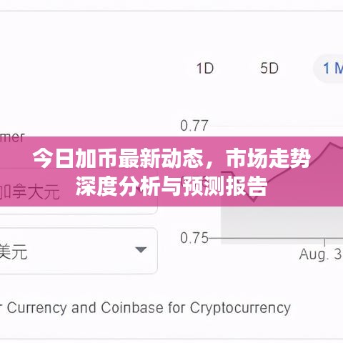 今日加币最新动态，市场走势深度分析与预测报告