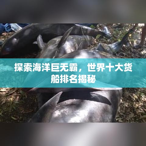 探索海洋巨无霸，世界十大货船排名揭秘