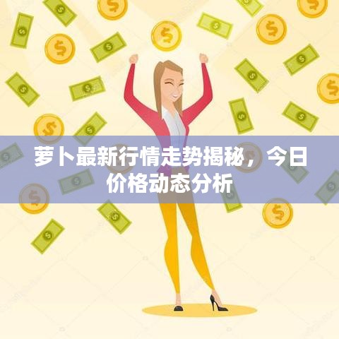 萝卜最新行情走势揭秘，今日价格动态分析