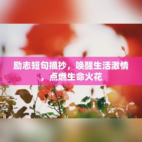 励志短句摘抄，唤醒生活激情，点燃生命火花