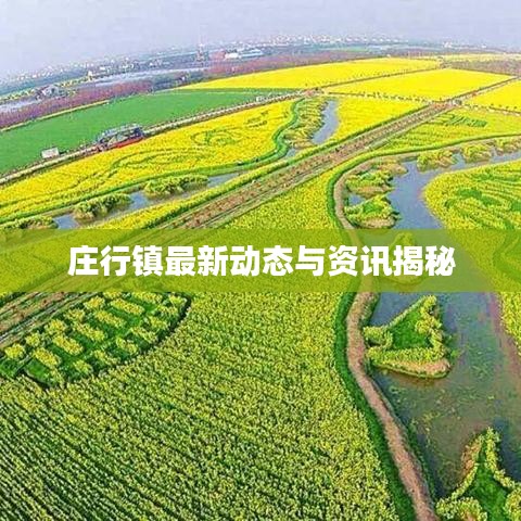 庄行镇最新动态与资讯揭秘