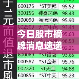 2025年5月8日 第20页