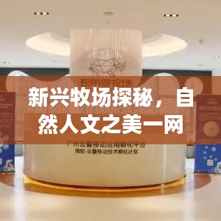 新兴牧场探秘，自然人文之美一网打尽！旅游攻略大揭秘！