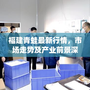 福建青蛙最新行情，市场走势及产业前景深度解析