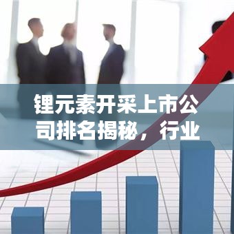 锂元素开采上市公司排名揭秘，行业领军者一览