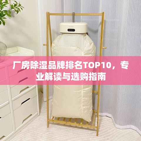 厂房除湿品牌排名TOP10，专业解读与选购指南