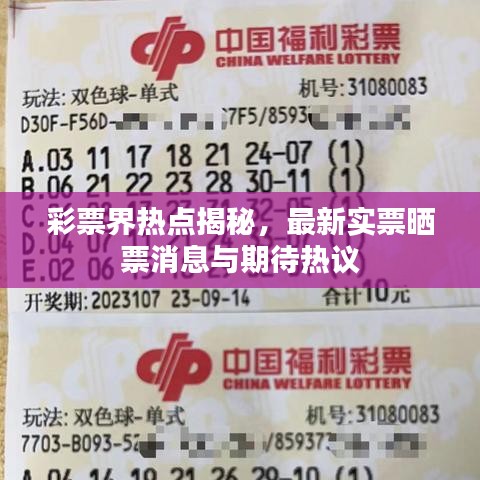 彩票界热点揭秘，最新实票晒票消息与期待热议