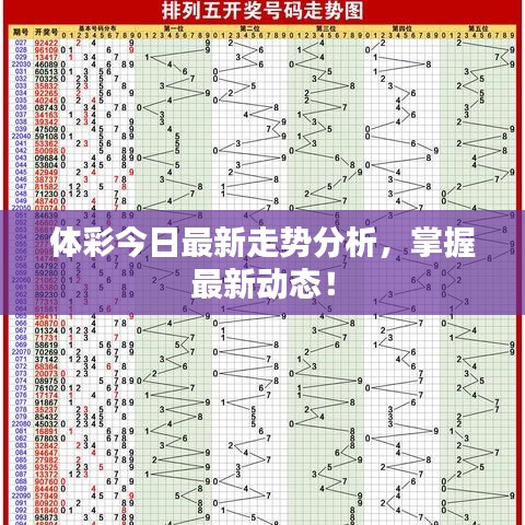 体彩今日最新走势分析，掌握最新动态！