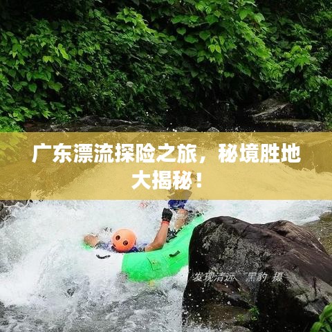 2025年5月8日 第5页