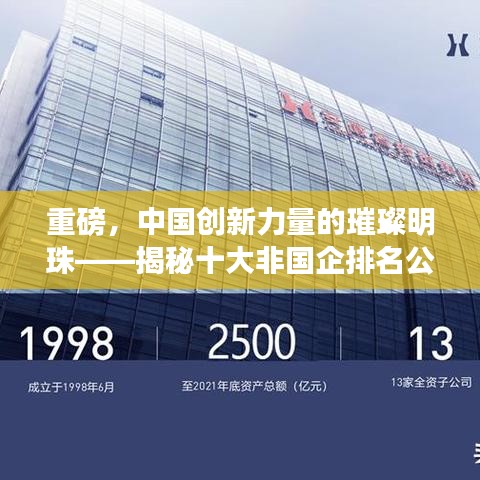 重磅，中国创新力量的璀璨明珠——揭秘十大非国企排名公司！
