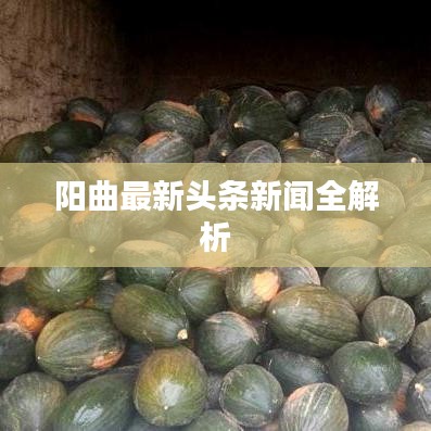 阳曲最新头条新闻全解析