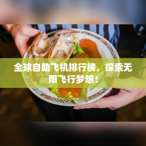 全球自助飞机排行榜，探索无限飞行梦想！
