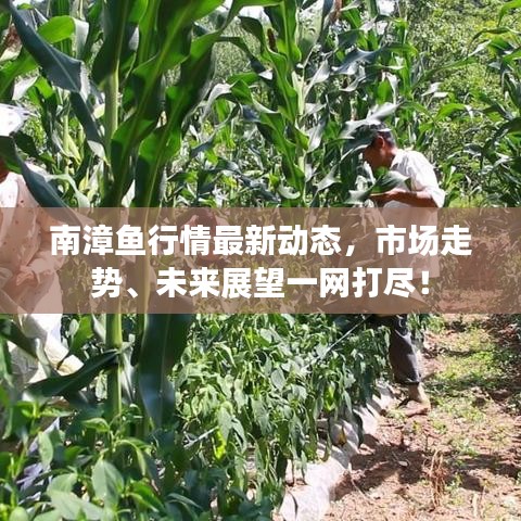 2025年5月9日 第36页