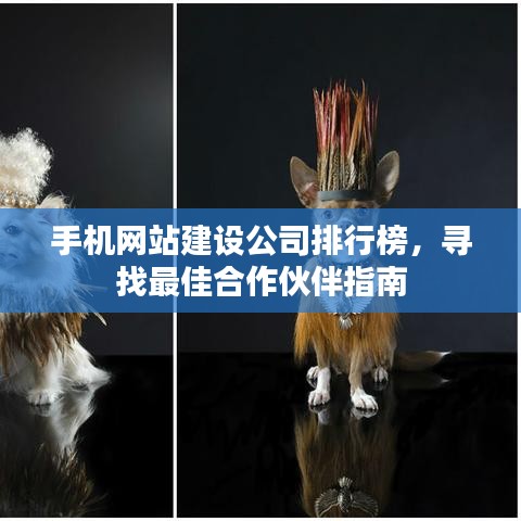 手机网站建设公司排行榜，寻找最佳合作伙伴指南