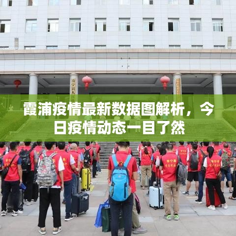 霞浦疫情最新数据图解析，今日疫情动态一目了然