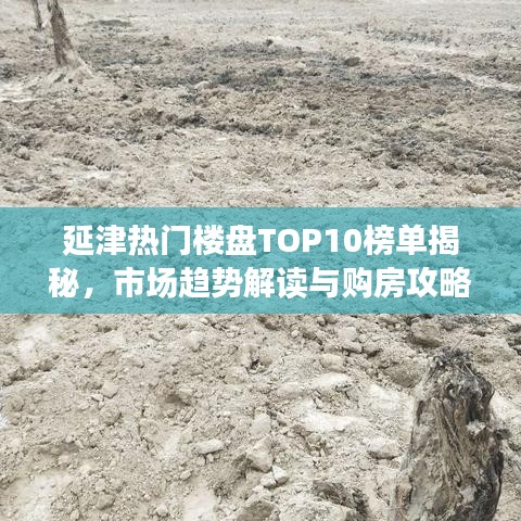 延津热门楼盘TOP10榜单揭秘，市场趋势解读与购房攻略