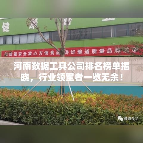 2025年5月9日 第4页