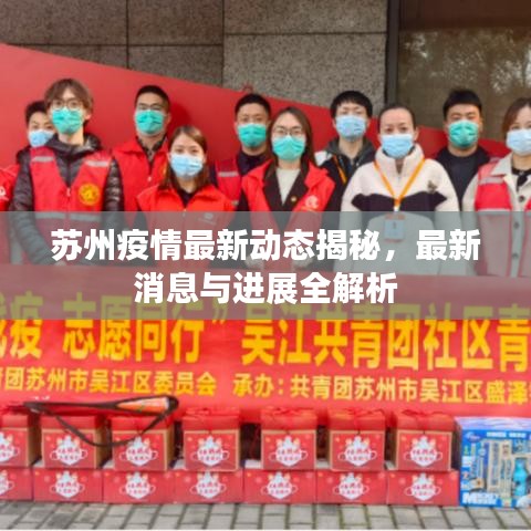 苏州疫情最新动态揭秘，最新消息与进展全解析