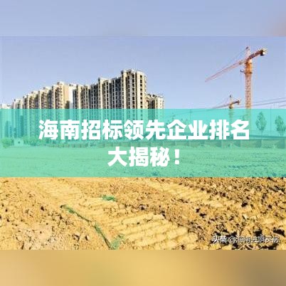 海南招标领先企业排名大揭秘！